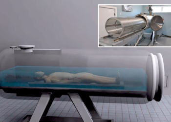 Acuamación: la alternativa ecológica a la cremación